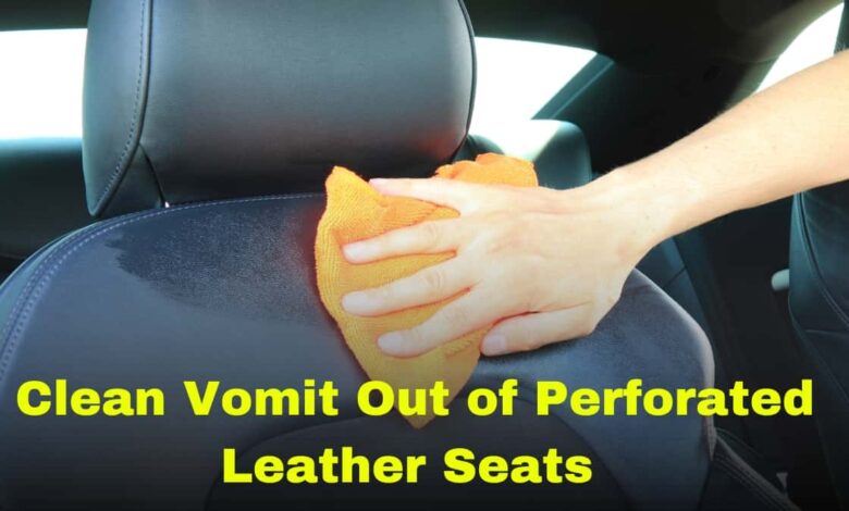 how to clean vomit out of perforated leather seats